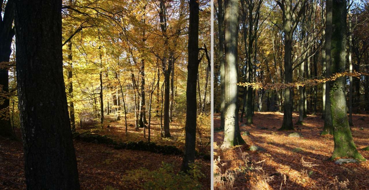 Vila Sovrods Hage Höör Exteriér fotografie